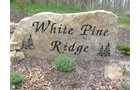 Property photo 70 - 37 Acres Offered in 4 Tracts