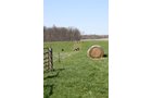 Property photo 36 - 39.7 Acres Offered in 3 Tracts