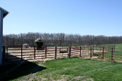 Property photo 26 - 39.7 Acres Offered in 3 Tracts