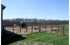 Property photo 26 - 39.7 Acres Offered in 3 Tracts