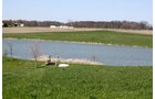 Property photo 20 - 39.7 Acres Offered in 3 Tracts