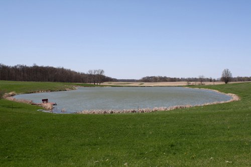 Property photo 7 - 39.7 Acres Offered in 3 Tracts