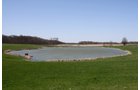 Property photo 7 - 39.7 Acres Offered in 3 Tracts