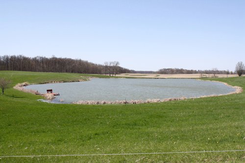 Property photo 6 - 39.7 Acres Offered in 3 Tracts