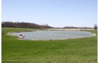 Property photo 6 - 39.7 Acres Offered in 3 Tracts