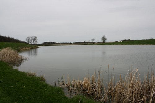 Property photo 5 - 39.7 Acres Offered in 3 Tracts
