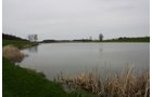 Property photo 5 - 39.7 Acres Offered in 3 Tracts