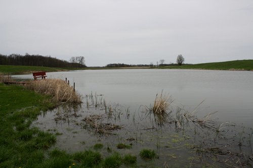 Property photo 38 - 39.7 Acres Offered in 3 Tracts