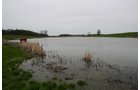 Property photo 38 - 39.7 Acres Offered in 3 Tracts