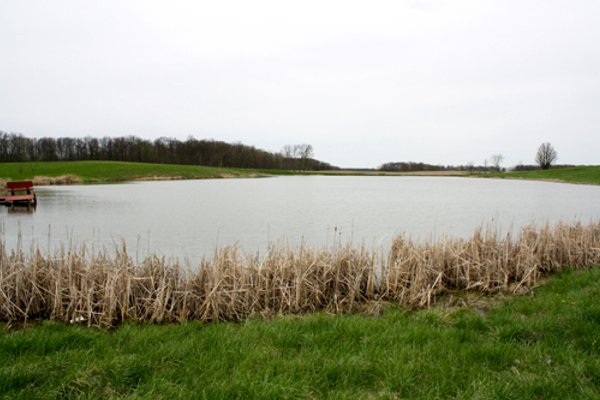 39.7 Acres Offered in 3 Tracts