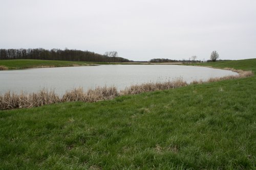 Property photo 25 - 39.7 Acres Offered in 3 Tracts
