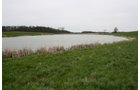 Property photo 25 - 39.7 Acres Offered in 3 Tracts