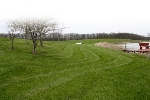 Property photo 31 - 39.7 Acres Offered in 3 Tracts