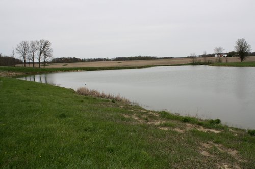 Property photo 29 - 39.7 Acres Offered in 3 Tracts