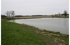 Property photo 29 - 39.7 Acres Offered in 3 Tracts