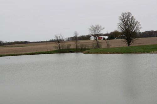 Property photo 28 - 39.7 Acres Offered in 3 Tracts