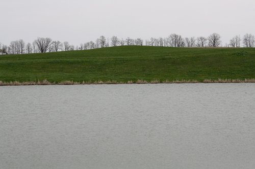Property photo 30 - 39.7 Acres Offered in 3 Tracts