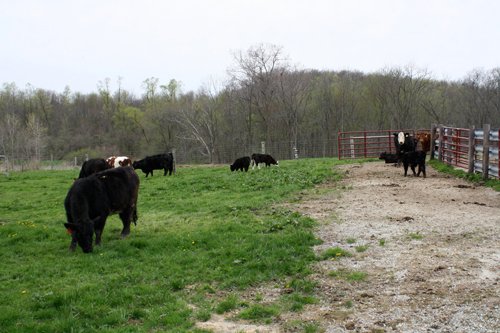 Property photo 35 - 39.7 Acres Offered in 3 Tracts