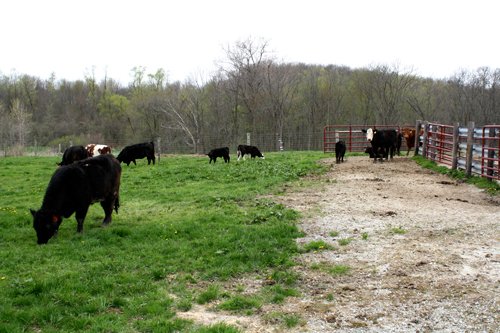 Property photo 33 - 39.7 Acres Offered in 3 Tracts