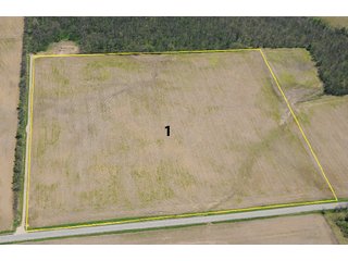 Property photo 5 - Important Indiana Land Auction - 551 Acres - 2 Farms in 7 Total Tracts