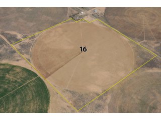 Property photo 4 - Kansas Land Auction - 3754 Acres in 16 Tracts - 22 Irrigated Circles