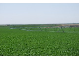 Property photo 13 - Kansas Land Auction - 3754 Acres in 16 Tracts - 22 Irrigated Circles