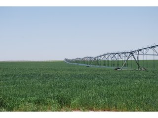 Property photo 1 - Kansas Land Auction - 3754 Acres in 16 Tracts - 22 Irrigated Circles