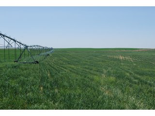 Property photo 3 - Kansas Land Auction - 3754 Acres in 16 Tracts - 22 Irrigated Circles