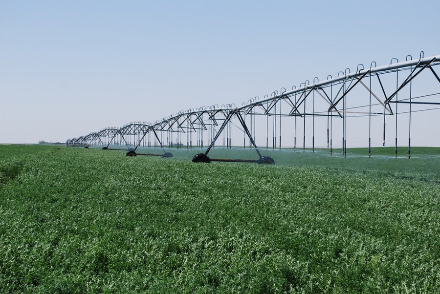 Kansas Land Auction - 3754 Acres in 16 Tracts - 22 Irrigated Circles