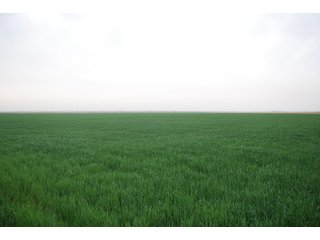 Property photo 16 - Kansas Land Auction - 3754 Acres in 16 Tracts - 22 Irrigated Circles