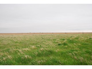 Property photo 11 - Kansas Land Auction - 3754 Acres in 16 Tracts - 22 Irrigated Circles