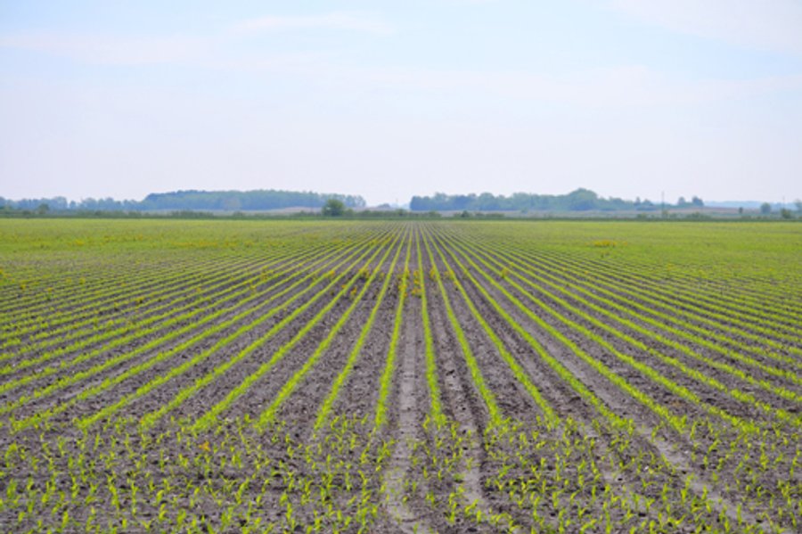444 Acres Offered in 7 Tracts