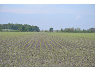 Property photo 5 - 444 Acres Offered in 7 Tracts