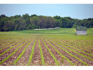 Property photo 6 - 444 Acres Offered in 7 Tracts