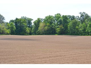 Property photo 7 - 444 Acres Offered in 7 Tracts