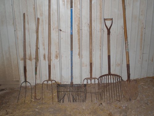 Property photo 43 - Real Estate & Personal Property Auction