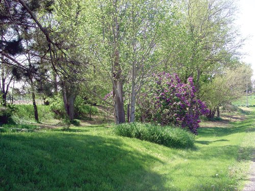 Property photo 21 - ABSOLUTE Real Estate & Personal Property Auction