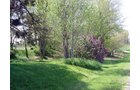 Property photo 21 - ABSOLUTE Real Estate & Personal Property Auction