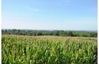 Property photo 1 - 57 Acres Offered in 3 Tracts