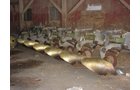 Property photo 14 - Stouffer Acres Farm Equipment Auction