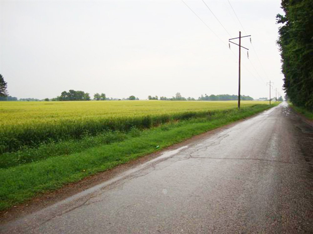 Property photo 3 - Real Estate & Personal Property Auction - 50 Acres in 5 Tracts