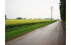 Property photo 3 - Real Estate & Personal Property Auction - 50 Acres in 5 Tracts