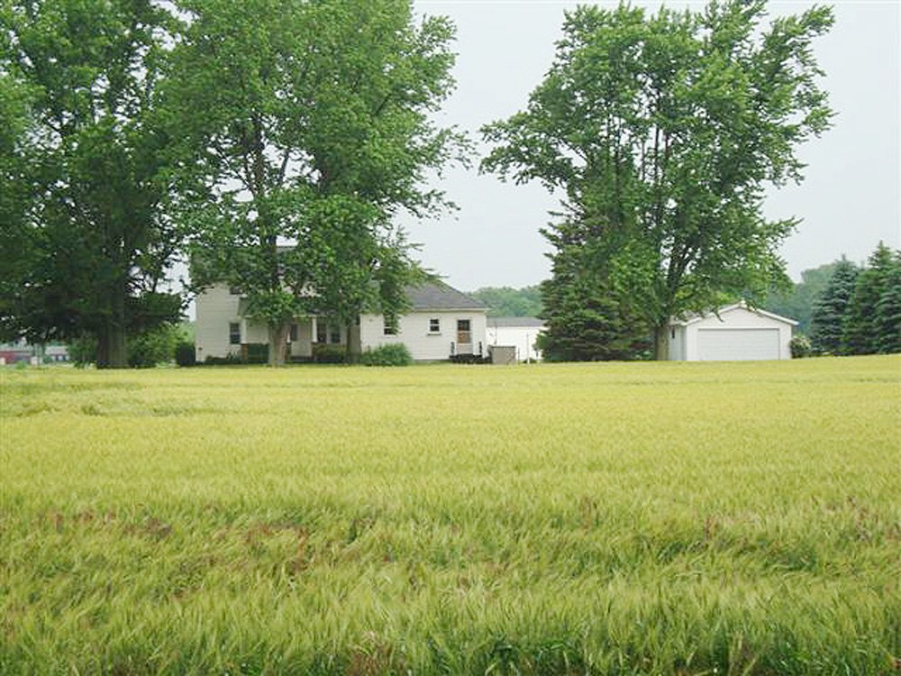 Property photo 4 - Real Estate & Personal Property Auction - 50 Acres in 5 Tracts