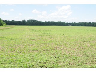 Property photo 57 - 681 Acres in 12 Tracts