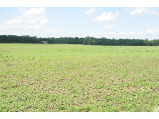 Property photo 73 - 681 Acres in 12 Tracts