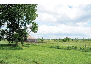 Property photo 52 - 681 Acres in 12 Tracts