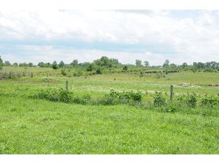 Property photo 24 - 681 Acres in 12 Tracts