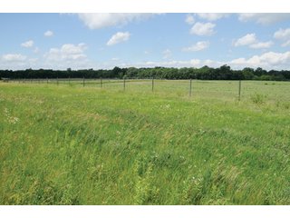 Property photo 59 - 681 Acres in 12 Tracts