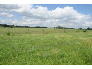 Property photo 41 - 681 Acres in 12 Tracts