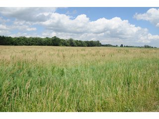 Property photo 35 - 681 Acres in 12 Tracts